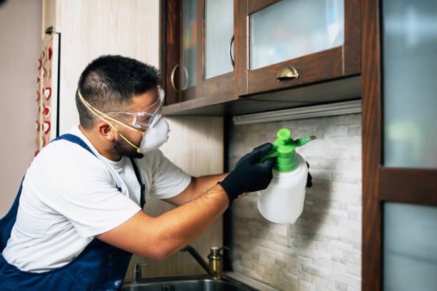 Best Pest Removal Services  in Eastpointe, MI