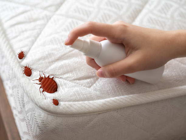 Best Ant Control Services  in Eastpointe, MI